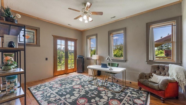 8825 Greeley Loop, Royalton Twp, MN 55006 - office space featuring light wood-type flooring, french doors, a ceiling fan, and crown molding