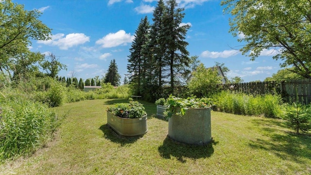 8825 Greeley Loop, Royalton Twp, MN 55006 - view of yard