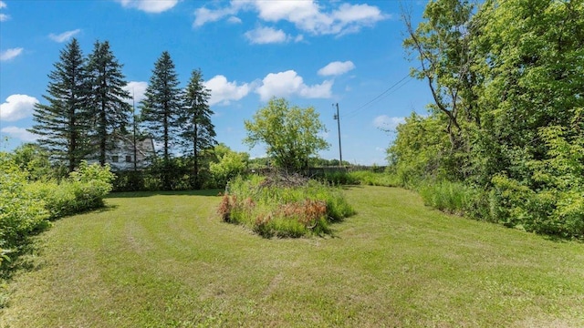 8825 Greeley Loop, Royalton Twp, MN 55006 - view of grassy yard