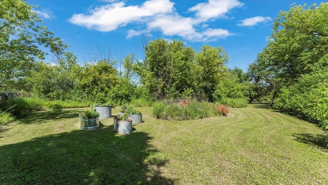 8825 Greeley Loop, Royalton Twp, MN 55006 - view of grassy yard