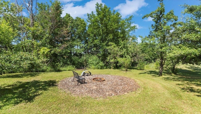 8825 Greeley Loop, Royalton Twp, MN 55006 - view of green lawn with a fire pit
