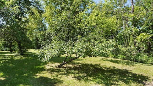 8825 Greeley Loop, Royalton Twp, MN 55006 - view of grassy yard
