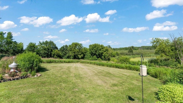 8825 Greeley Loop, Royalton Twp, MN 55006 - view of grassy yard