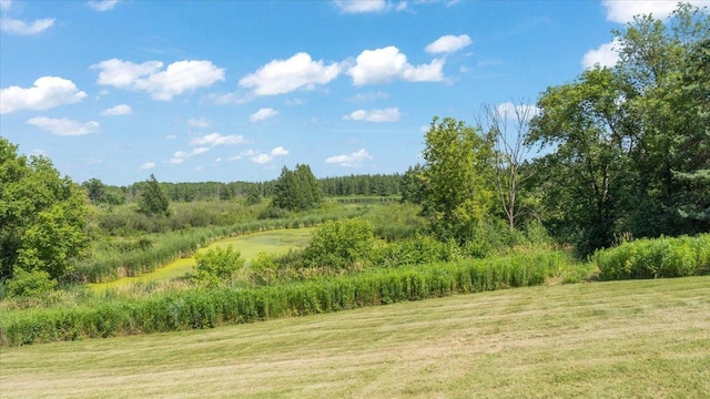 8825 Greeley Loop, Royalton Twp, MN 55006 - view of local wilderness