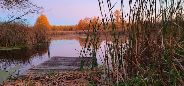 8825 Greeley Loop, Royalton Twp, MN 55006 - dock area featuring a water view