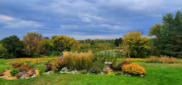 8825 Greeley Loop, Royalton Twp, MN 55006 - view of yard