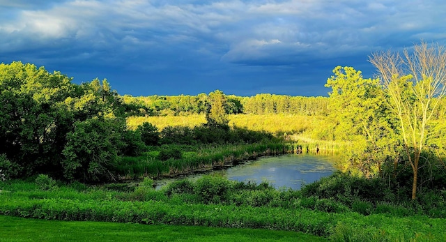 8825 Greeley Loop, Royalton Twp, MN 55006 - water view