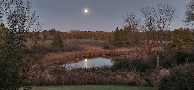 8825 Greeley Loop, Royalton Twp, MN 55006 - water view with a heavily wooded area