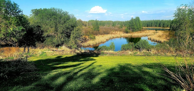 8825 Greeley Loop, Royalton Twp, MN 55006 - water view with a forest