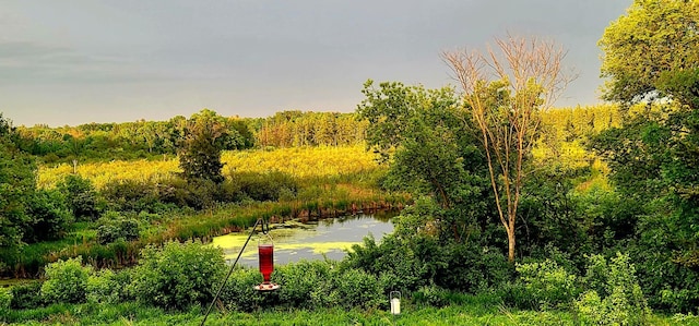 8825 Greeley Loop, Royalton Twp, MN 55006 - view of community
