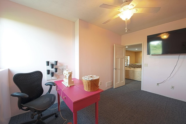 10199 330th St W, Northfield, MN 55057 - carpeted office with a ceiling fan