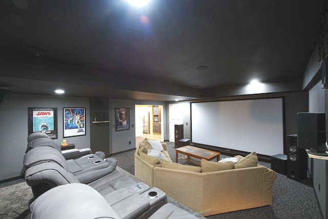 10199 330th St W, Northfield, MN 55057 - cinema room featuring carpet floors and baseboards