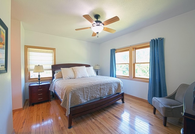 10199 330th St W, Northfield, MN 55057 - bedroom with light wood-type flooring and ceiling fan