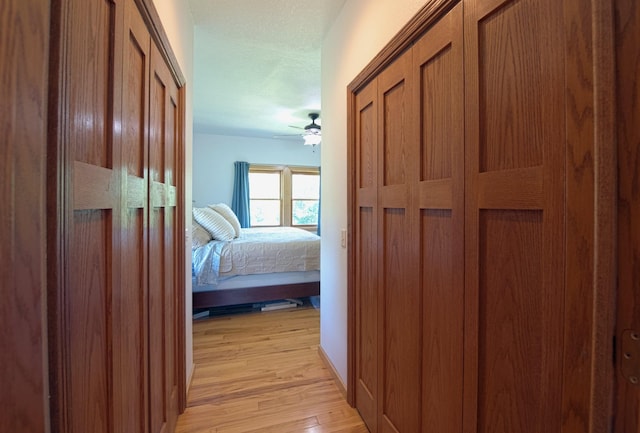 10199 330th St W, Northfield, MN 55057 - hall with light wood-style flooring