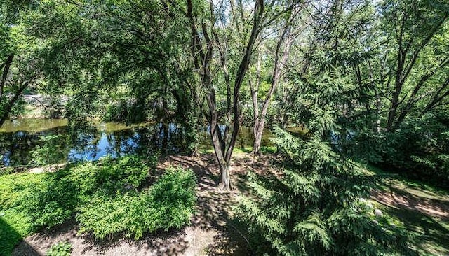 5601 Dewey Hill Rd Unit 211, Edina, MN 55439 - photo 17