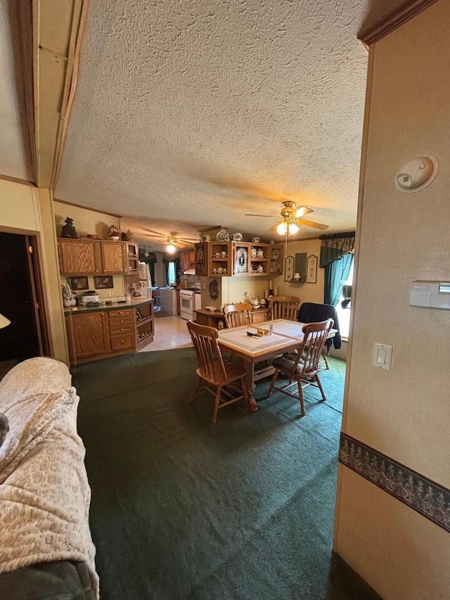 2126 3rd Ave NW Unit 80, Owatonna, MN 55060 - dining space featuring a ceiling fan, dark colored carpet, and a textured ceiling