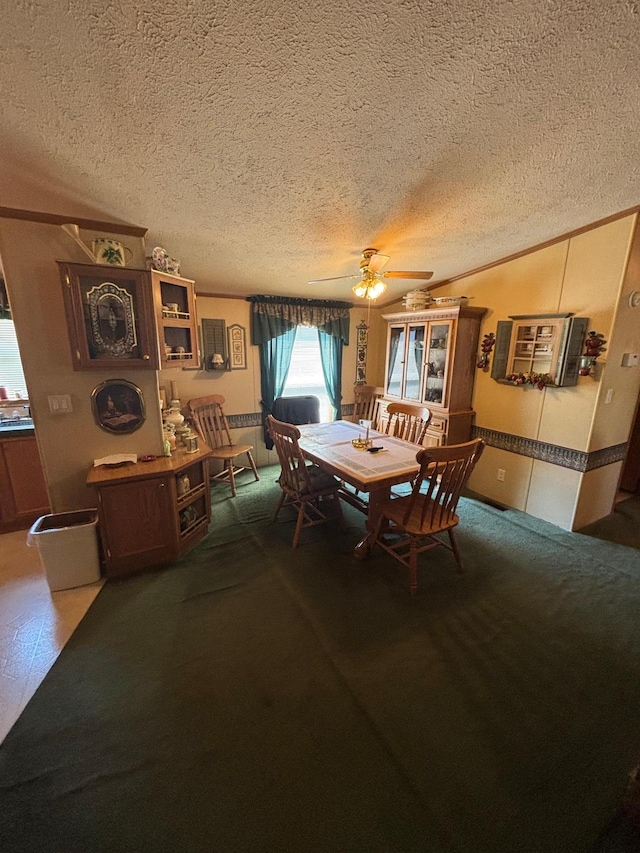 2126 3rd Ave NW Unit 80, Owatonna, MN 55060 - carpeted dining area with a ceiling fan and a textured ceiling