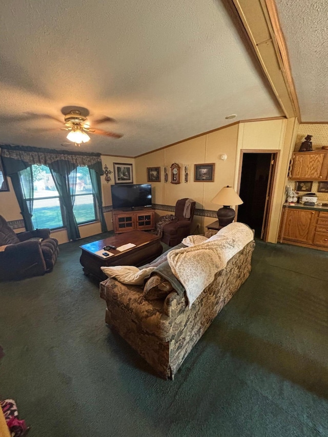 2126 3rd Ave NW Unit 80, Owatonna, MN 55060 - living room with a textured ceiling, dark carpet, lofted ceiling, and a ceiling fan