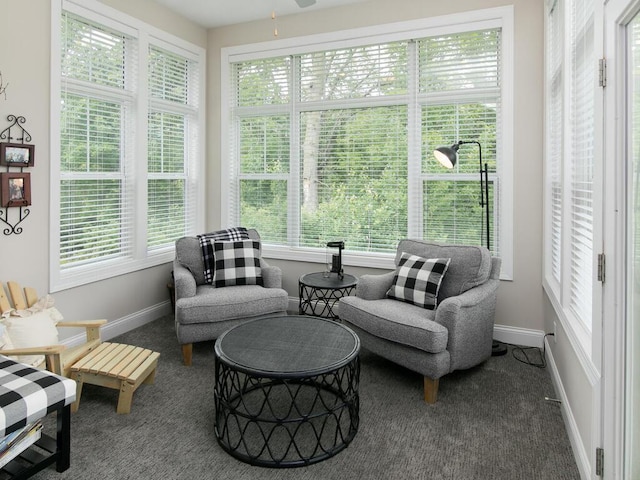 13324 Hillsboro Ave, Savage, MN 55378 - sunroom with healthy amount of natural light and carpet