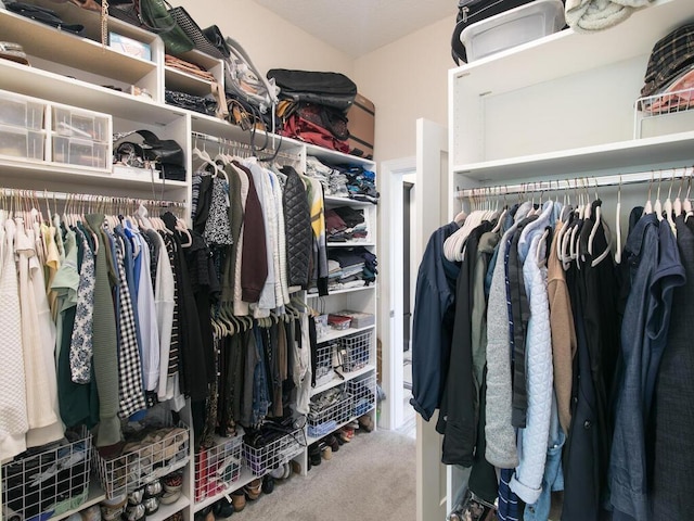 13324 Hillsboro Ave, Savage, MN 55378 - spacious closet featuring carpet floors