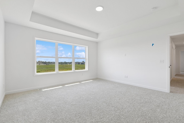 9863 49th St NE, Saint Michael, MN 55376 - spare room with carpet and a tray ceiling