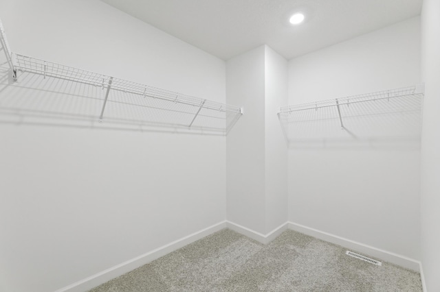 9863 49th St NE, Saint Michael, MN 55376 - spacious closet featuring carpet flooring