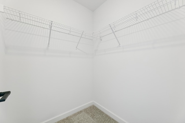 9863 49th St NE, Saint Michael, MN 55376 - spacious closet with carpet flooring