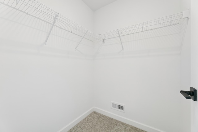 9863 49th St NE, Saint Michael, MN 55376 - walk in closet with carpet