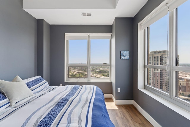 929 Portland Ave Unit 2510, Minneapolis, MN 55404 - bedroom featuring wood finished floors and baseboards