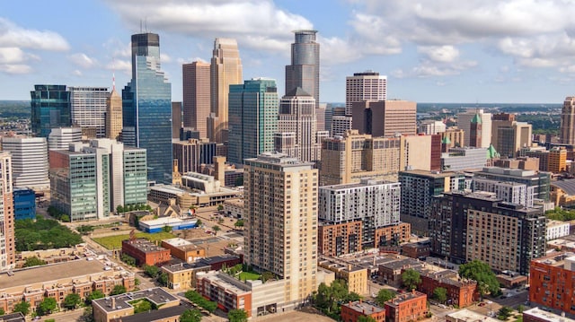 929 Portland Ave Unit 2510, Minneapolis, MN 55404 - skyline view