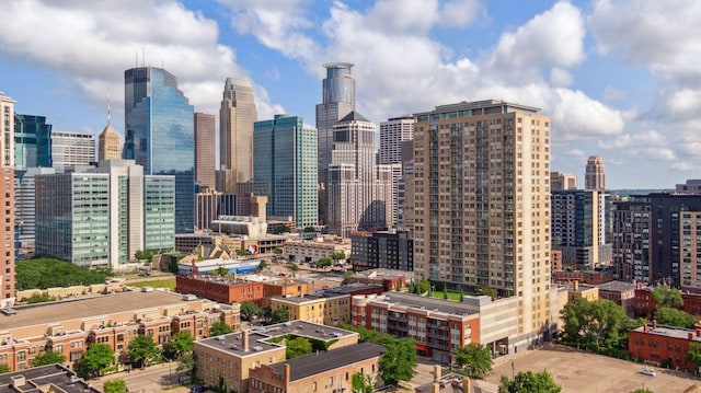 929 Portland Ave Unit 2510, Minneapolis, MN 55404 - view of city skyline