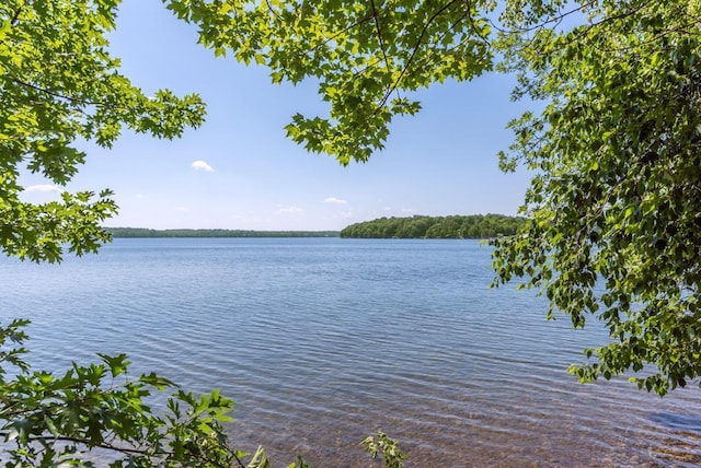 22677 Clearwater Point Rd, Brainerd, MN 56401 - photo 20