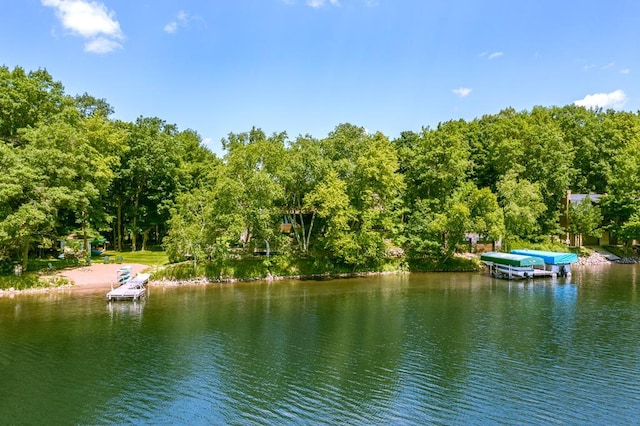 22677 Clearwater Point Rd, Brainerd, MN 56401 - photo 40