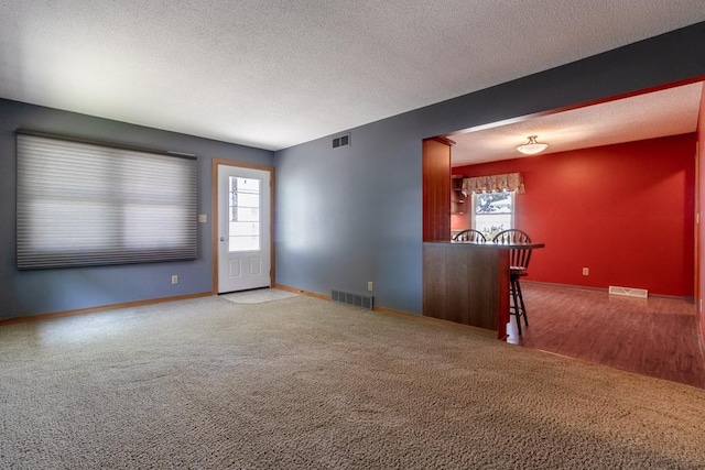 315 Pierce Ave, North Mankato, MN 56003 - unfurnished room with carpet, healthy amount of natural light, and a textured ceiling