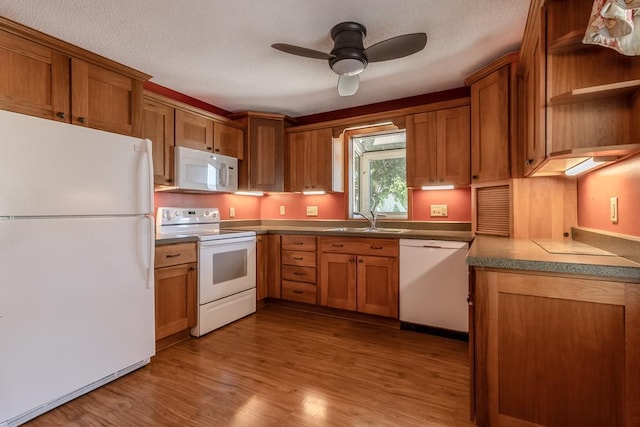 315 Pierce Ave, North Mankato, MN 56003 - kitchen featuring white appliances, brown cabinets, a ceiling fan, wood finished floors, and a textured ceiling
