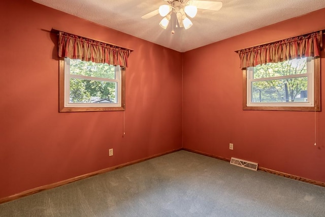 315 Pierce Ave, North Mankato, MN 56003 - carpeted spare room featuring plenty of natural light and ceiling fan