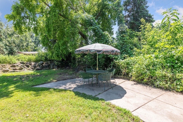 1120 County Road 110 N, Minnetrista, MN 55364 - photo 39