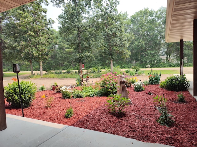 851 Blueberry River Dr, Menahga, MN 56464 - photo 29