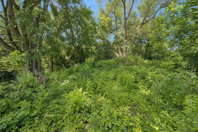 1818 1st St N, Stillwater, MN 55082 - view of local wilderness
