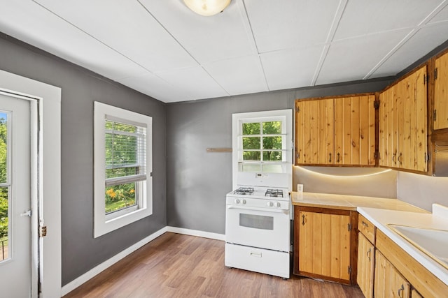 1818 1st St N, Stillwater, MN 55082 - kitchen featuring white gas range oven, light wood-type flooring, healthy amount of natural light, and light countertops