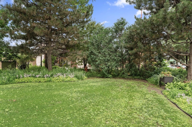 14575 Burma Ave W Unit 306, Rosemount, MN 55068 - view of green lawn