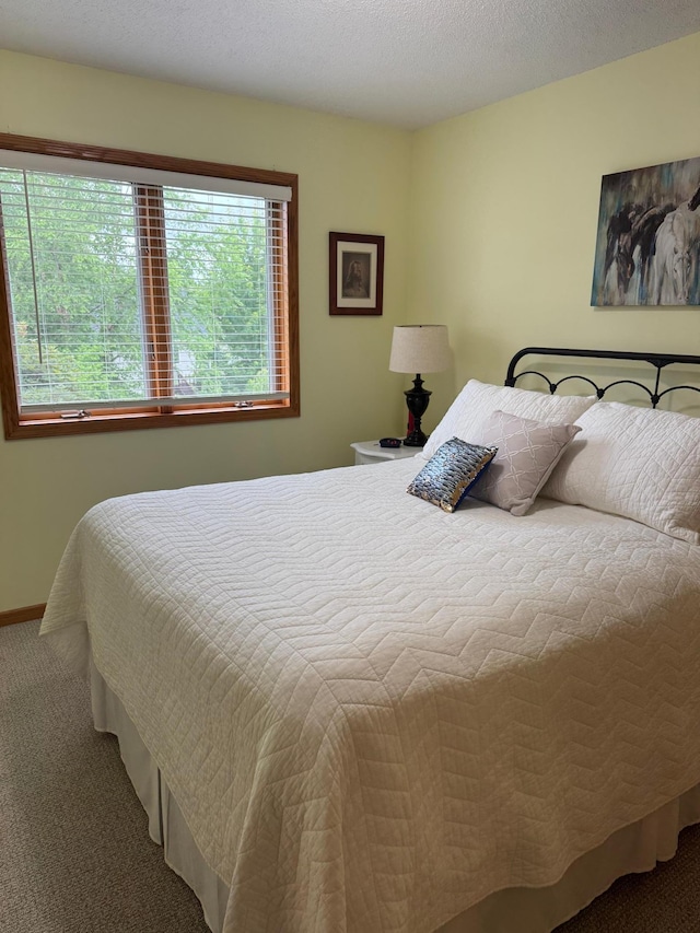 2518 Parkhill Ln SW, Rochester, MN 55902 - bedroom with carpet floors and baseboards
