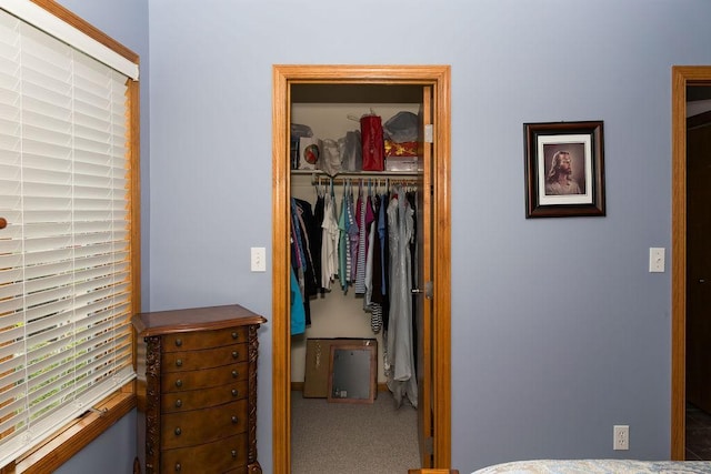 2518 Parkhill Ln SW, Rochester, MN 55902 - carpeted bedroom with a closet