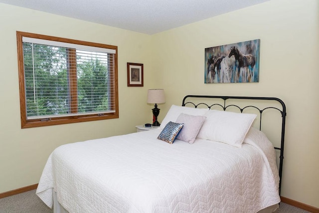 2518 Parkhill Ln SW, Rochester, MN 55902 - bedroom with carpet floors and baseboards