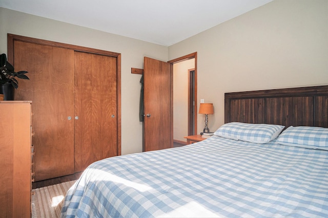 501 Central Ln, Luverne, MN 56156 - bedroom with a closet and wood finished floors