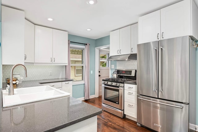 579 36th Ave NE, Minneapolis, MN 55418 - kitchen with stainless steel appliances, under cabinet range hood, tasteful backsplash, dark wood-style floors, and white cabinets