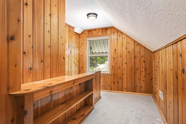 579 36th Ave NE, Minneapolis, MN 55418 - additional living space with vaulted ceiling, a textured ceiling, wood walls, carpet flooring, and a sauna
