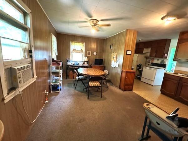 215 11th St, Montevideo, MN 56265 - photo 6