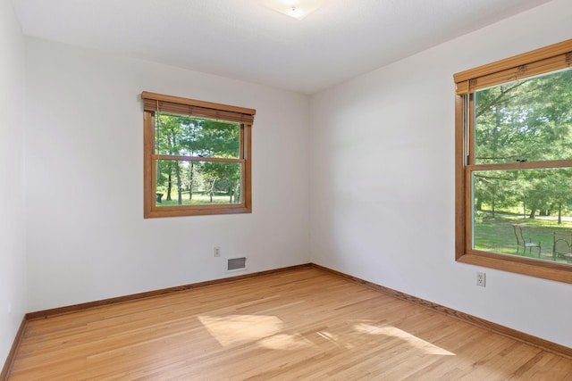 16059 Kettle River Blvd NE, Columbus, MN 55025 - spare room with plenty of natural light and light wood-style floors