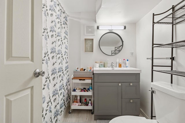 16059 Kettle River Blvd NE, Columbus, MN 55025 - bathroom featuring wood finished floors, vanity, and curtained shower